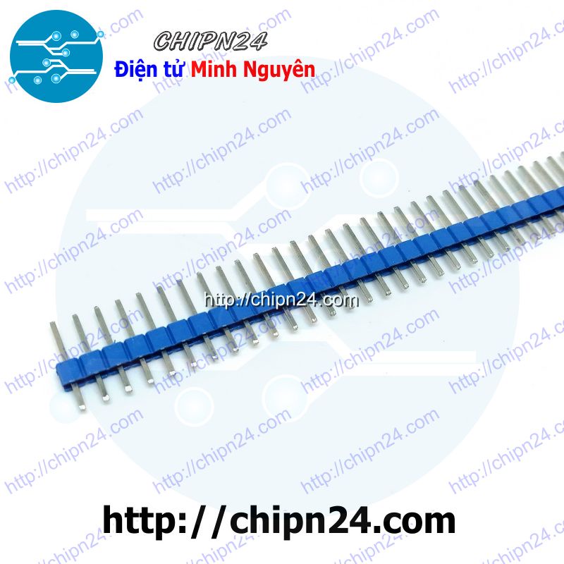 [3 CÂY] (TK1.2) Header Hàng rào Đực Đơn Thẳng 1x40p XANH DƯƠNG 2.54MM