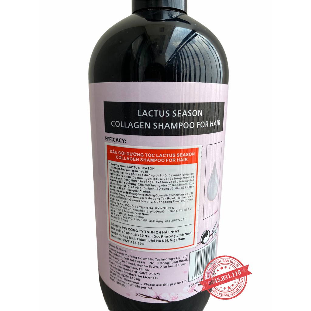 Cặp Dầu Gội Xả Collagen Lactus 800ML| Giảm Rụng Tóc, Ngăn Rụng Tóc,Phục Hồi Tóc Hư Tổn | Hàng Chính Hãng GX07