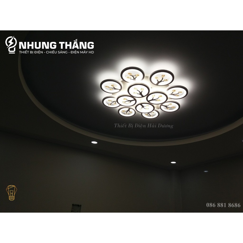 Đèn Ốp Trần Hiện Đại Decor 12 Hoa Pha Lê NT031 - 3 Chế Độ Ánh Sáng - Tăng Giảm Ánh Sáng - Hẹn Giờ Ngủ - Điều Khiển Từ Xa