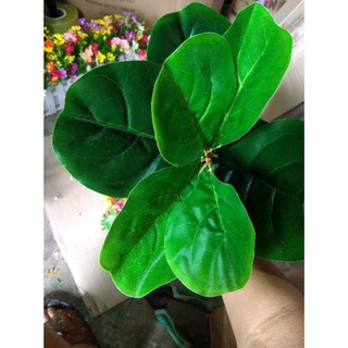 cây bàng singapo giả cảnh 50cm