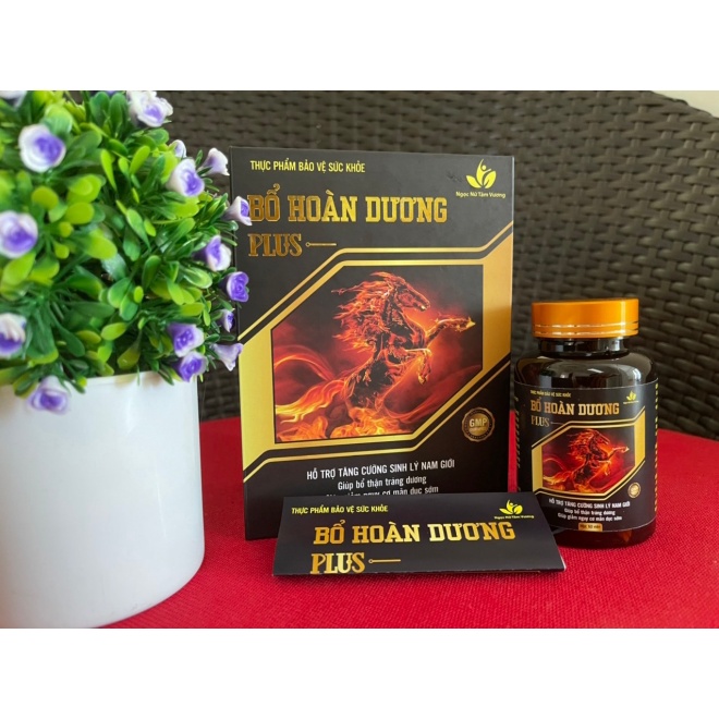 Bổ Hoàn Dương Plus 50 Hàng Chuẩn