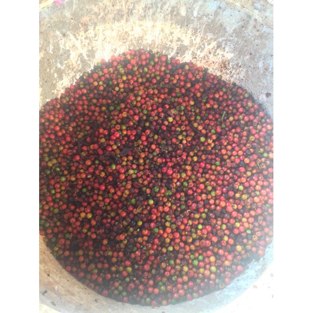 300g hạt tiêu đen nguyên hạt | BigBuy360 - bigbuy360.vn