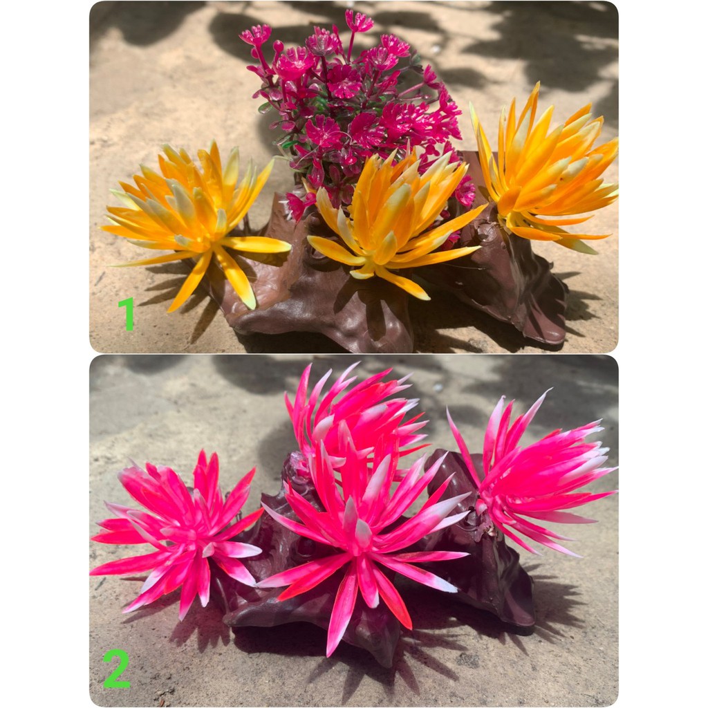 [Chọn mẫu] Bụi hoa lùn trang trí bể cá, hòn non bộ.