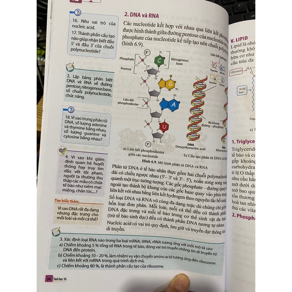 Sách - Sinh học 10 ( Cánh diều ) + bán kèm 1 cuốn tô màu 15k