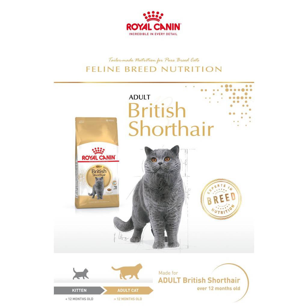 Thức ăn cho mèo anh lông ngắn trưởng thành trên 12 tháng tuổi Royal Canin British Shorthair Adult 2kg sản xuất tại pháp