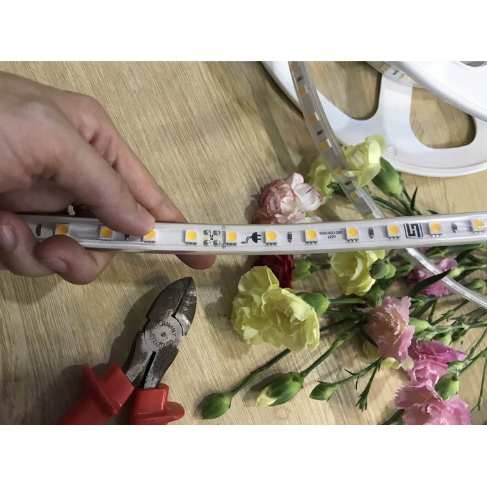 Led dây 5050 chống nước 220Vac Duhal (bán lẻ theo mét)