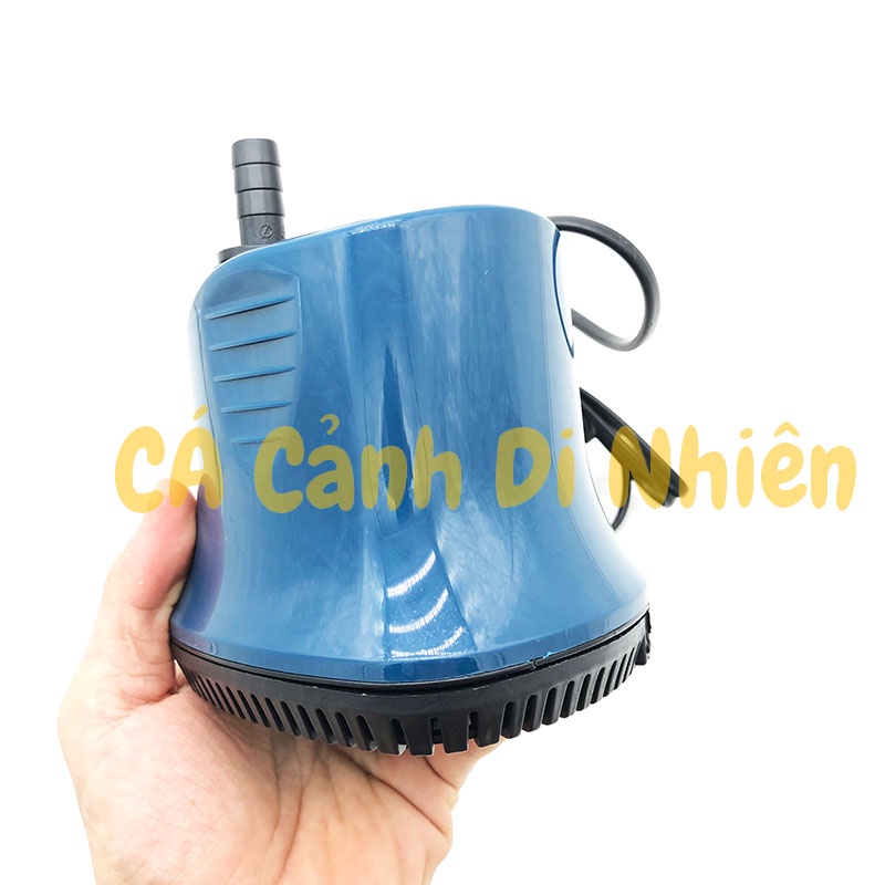 Máy bơm hút đáy SOBO WP-300D 35W bơm chìm hút cặn 360 độ hồ cá WP 300D