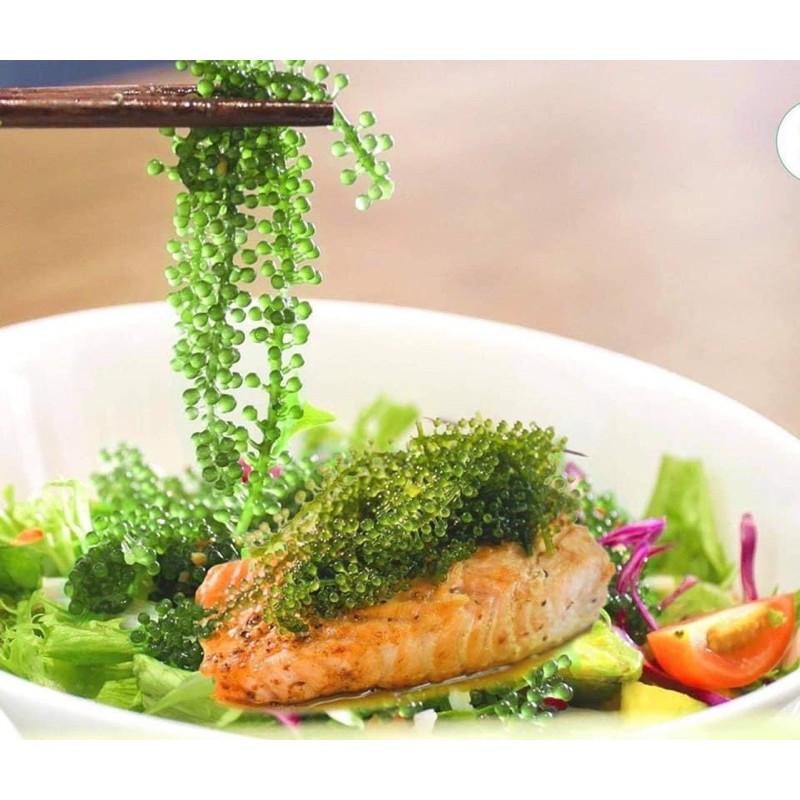 Nguyên Hộp 100gr gồm 5 túi rong nho tách nước Green Food Cao cấp Không tanh Không nhớt + tặng kèm 5 gói sốt mè Rang