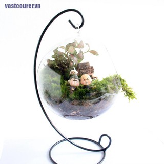 Vastcourer☺Mô Hình Cây Bonsai Mini Trang Trí Tiểu Cảnh