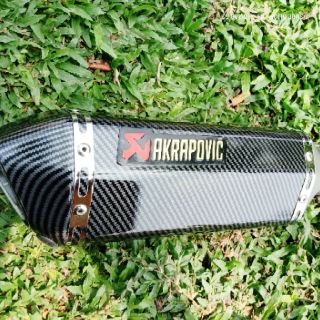 Pô độ Akrapovic carbon