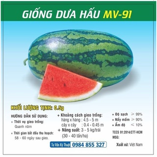 Hạt giống Dưa hấu MV-91