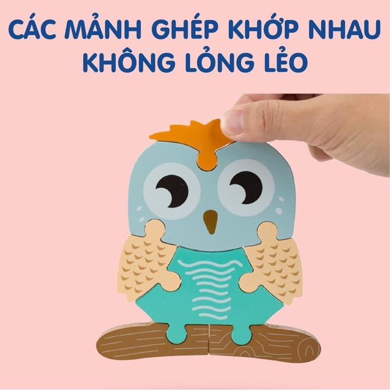 Bộ Ghép Hình Gỗ Cao Cấp