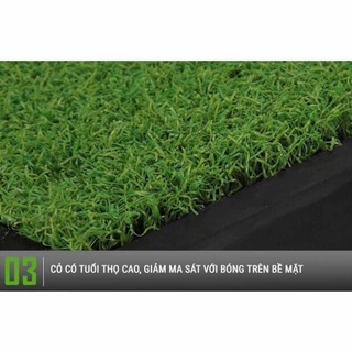 Thảm golf tập swing pgm