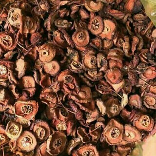 Táo mèo/ Sơn Tra -100g
