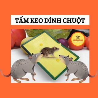 Keo dính Chuột keo bẫy chuột
