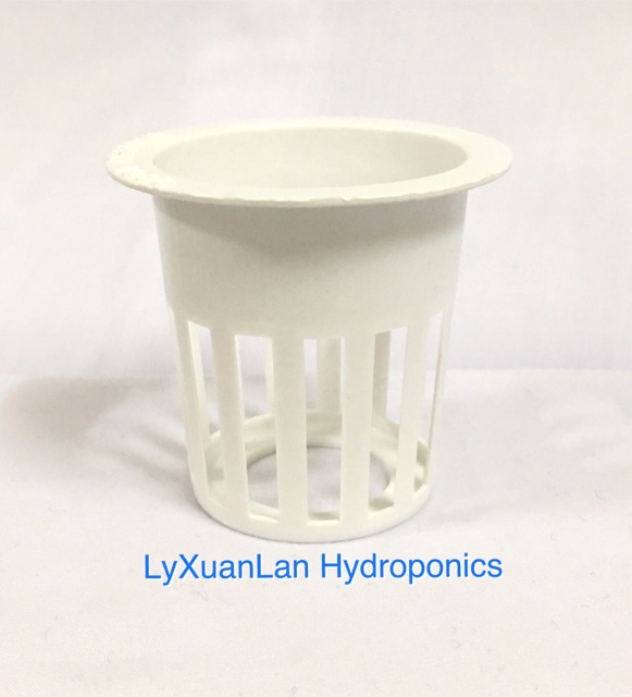 Rọ nhựa thuỷ canh 50 cai