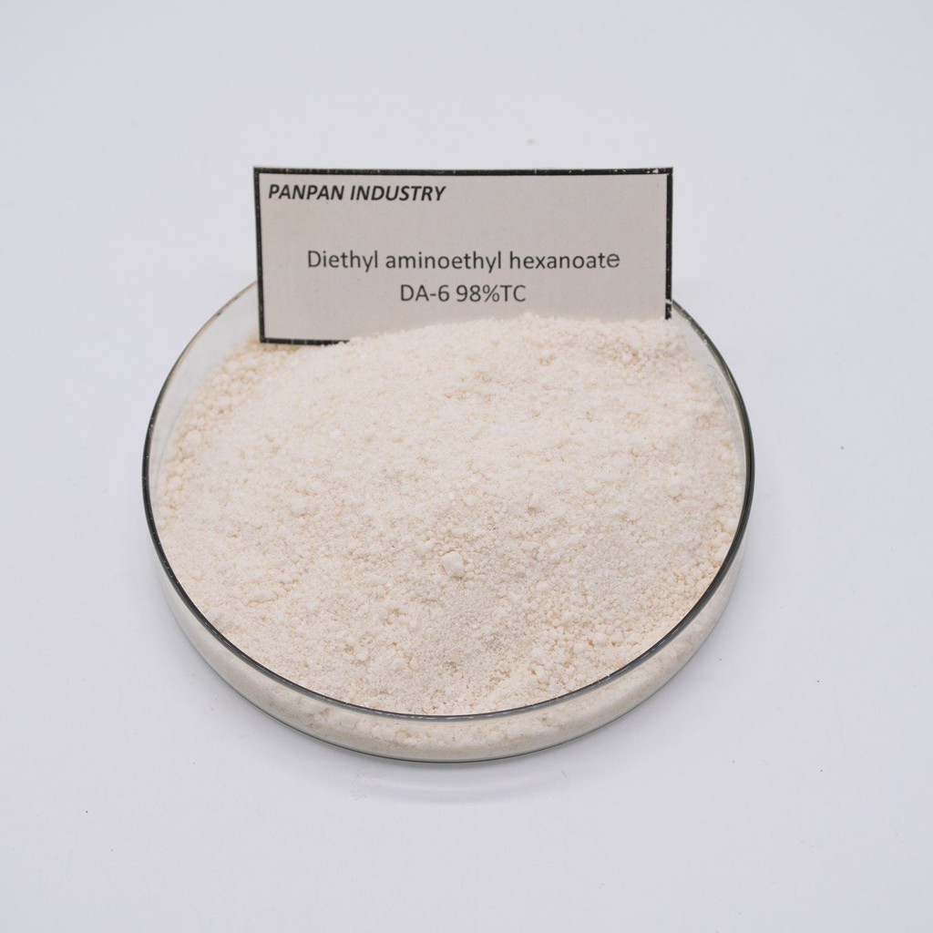 DA6- 98%  TAN TRONG NƯỚC 50gr