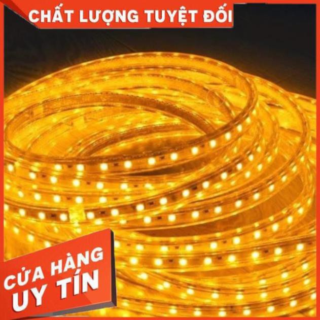 Cuộn đèn led dây 5050/220V dài 100m 1 màu (ánh sáng vàng) và 1 đầu nối dây nguồn.