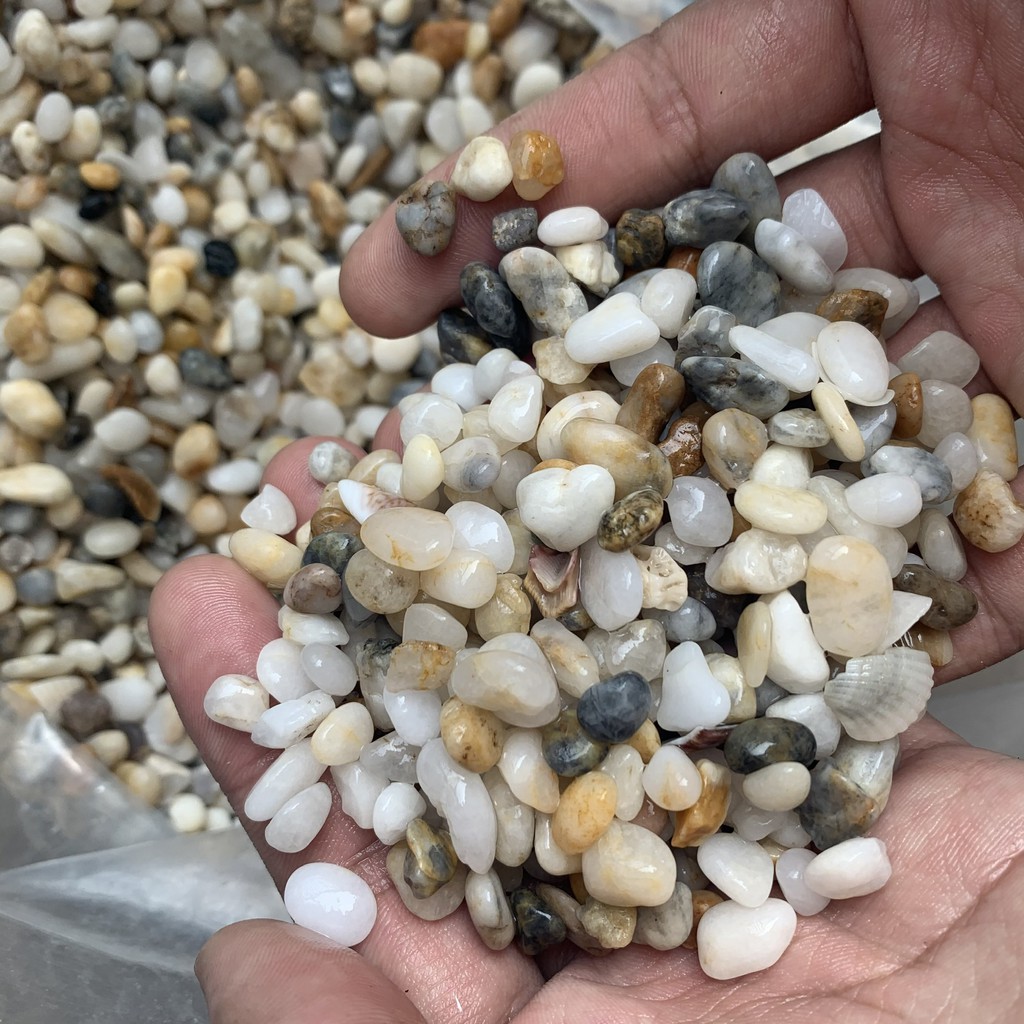 Sỏi muối tiêu viên vừa trang trí bể cá, chậu cây 1 kg