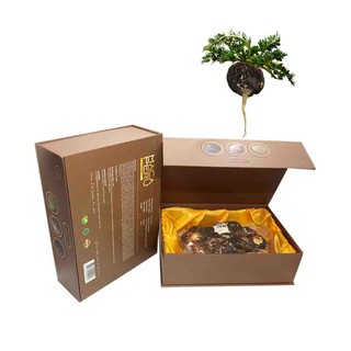 HỘP SÂM MACA PERU (Lepidium meyenii) MÀU ĐEN 500g