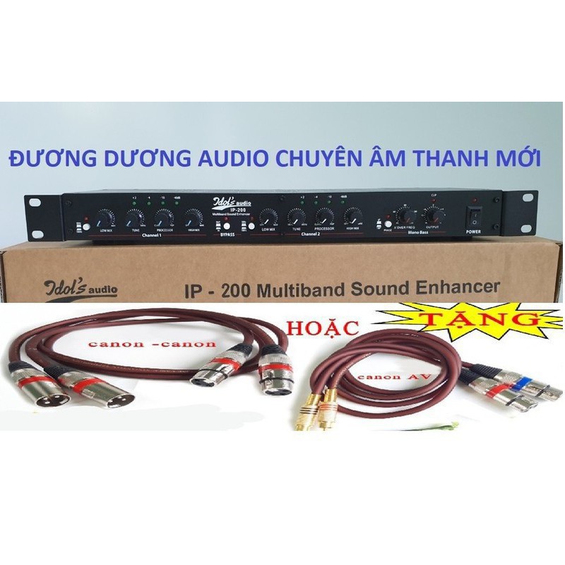 Máy nâng tiếng karaoke IDOL IP-200 chuyên nghiệp