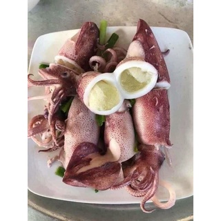 Mực trứng 1kg net 7 size 15-20 con (giao hỏa tốc tphcm)