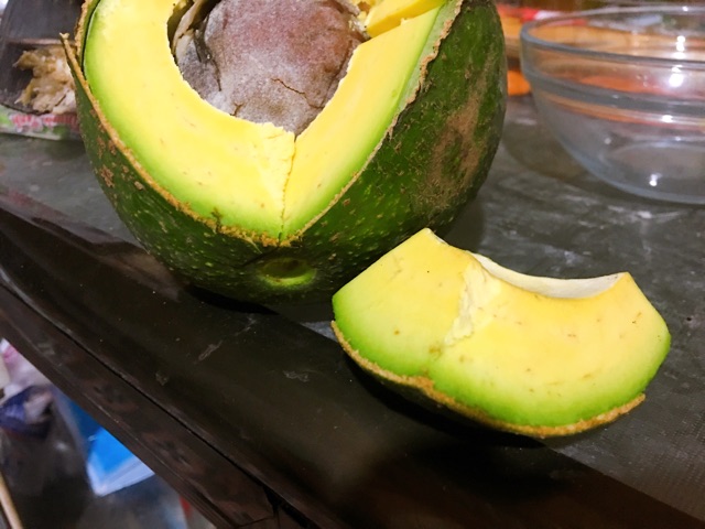 1 kg Bơ Booth tại vườn không qua trung gian quả to đều