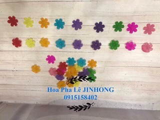 NGUYÊN LIỆU HOA ĐÁ PHA LÊ