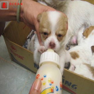 Sữa Bio milk cho chó mèo