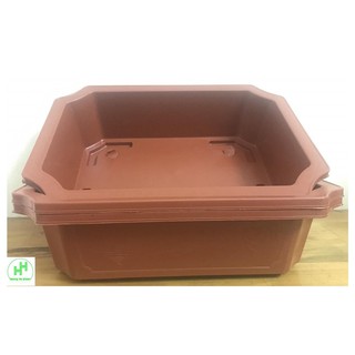 3 Chậu Nhựa Trồng Cây Mini Hình Chữ Nhật Màu Nâu Siêu Đẹp Kích Thước 350x255x90 - Sản xuất bởi NHỰA BÌNH THUẬN