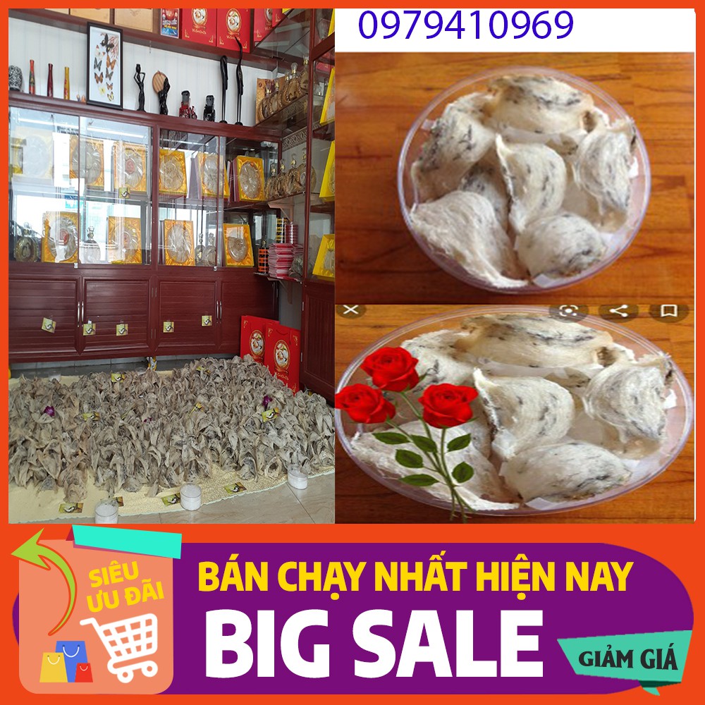 50gr Tổ Yến Thô còn lông + 🎁táo đỏ, đường phèn, long nhãn