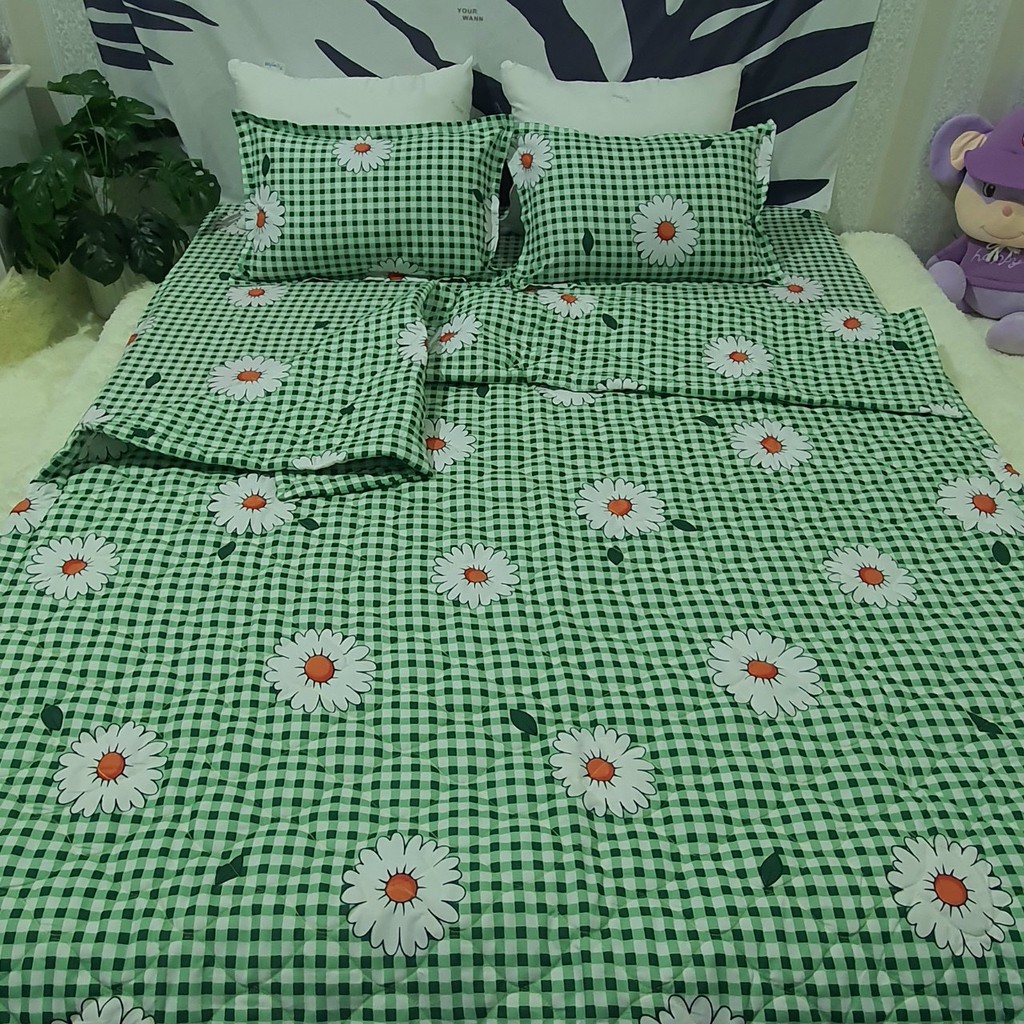 Bộ Ga Gối Cotton Poly Mẫu CÚC HOẠ MI XANH LÁ