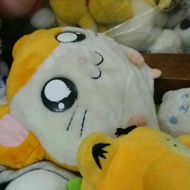 Gấu bông đẹp