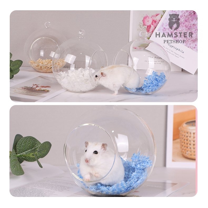 Nhà ngủ sang trọng bằng kính cho Hamster