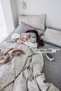 bộ chăn ga gối cotton 4 món