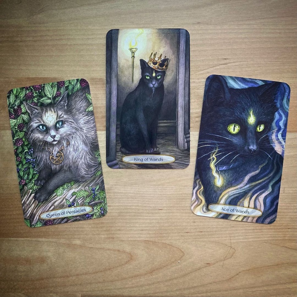 Bài Soul Cats Tarot