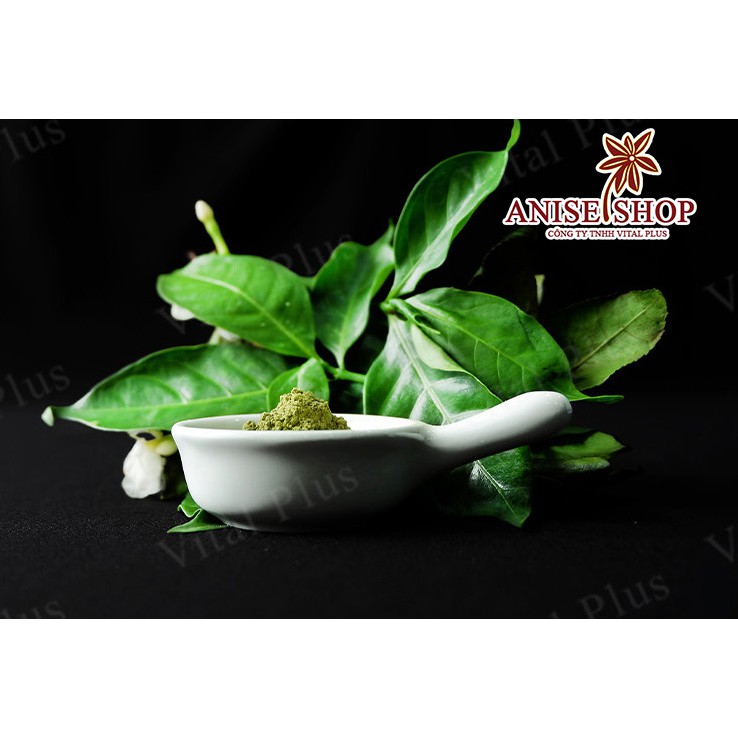 - Bột Matcha Đài Loan - Matcha Powder - Shop Nhà Anise - Vital Plus