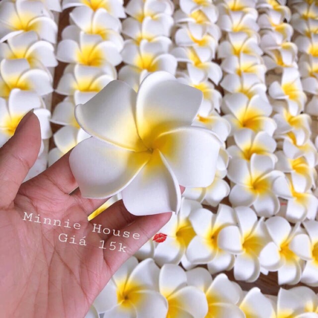 Hoa đại cài tóc