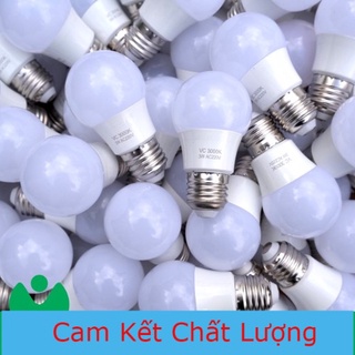 Bóng LED Kín Nước 3w Đèn Trang Trí Ngoài Trời, Quán Cà Phê, Sân Vườn Bảo Hành 12 tháng