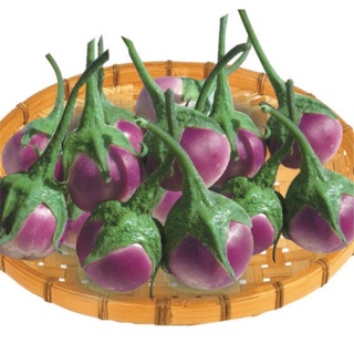 Hạt giống cà pháo tím 1g Cánh Đồng Xanh