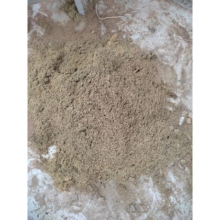 Bột gỗ thủy tùng thơm, dùng đốt để xông nhà, 1kg