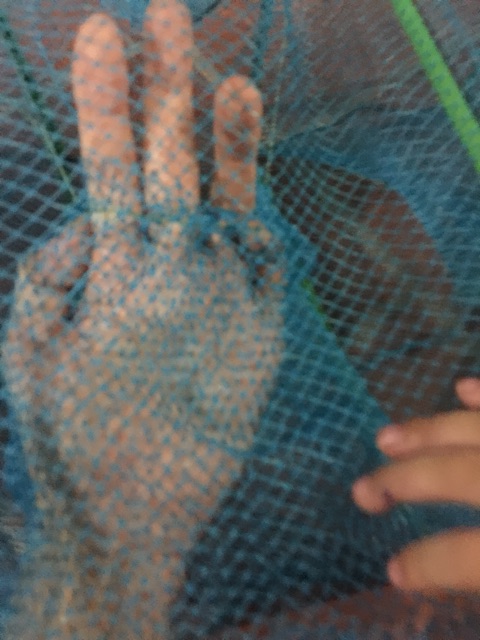 Lồng bát quái vạng 29 khung 10 m