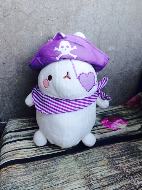 Gấu bông molang size 25-30cm