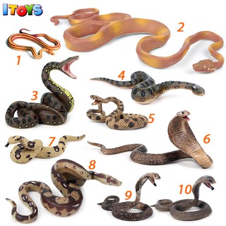 Mô hình con rắn, con trăn, nhiều loại cao cấp, mô hình động vật ITOYS