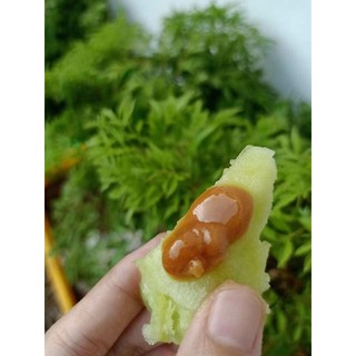 Đường thốt nốt An Giang