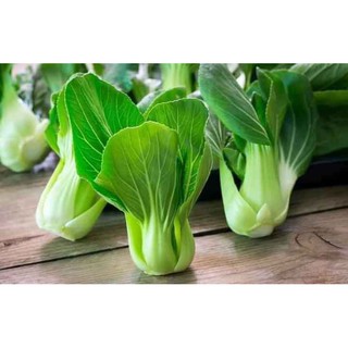 HẠT GIỐNG CẢI THÌA XANH chuẩn f1