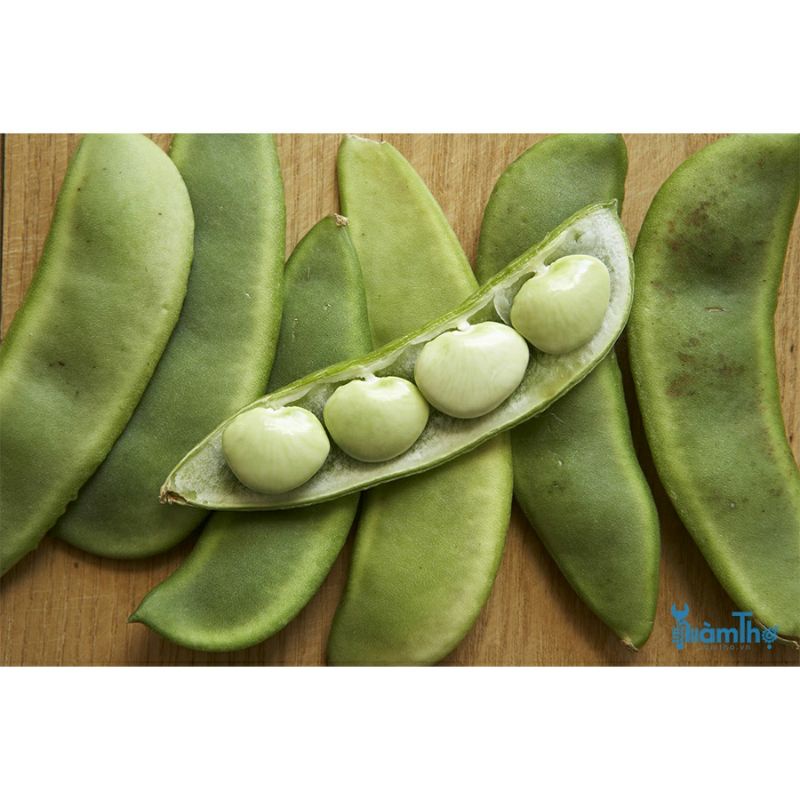 Đậu ván loại ngon nấu xôi chè... chuẩn loại 1