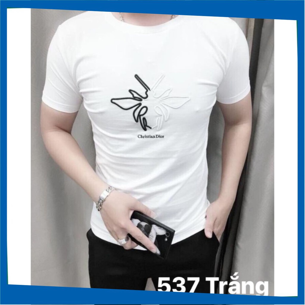 Áo Thun Nam 🔴FREESHIP🔴 Phông Nam Body Tay Ngắn Cổ Tròn Cao Cấp MS NA537