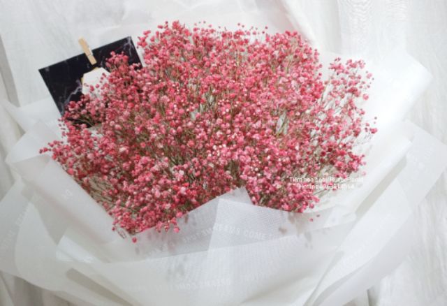 [HỘP HOA KHÔ] Hoa baby khô đỏ nhập khẩu cao cấp món quà tặng độc đáo ý nghĩa