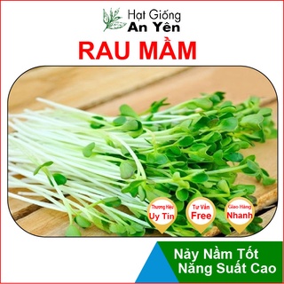 Hạt giống Rau Mầm Cải Ngọt thu hoạch sớm, dễ trồng, nảy mầm cao, sinh trưởng khoẻ,